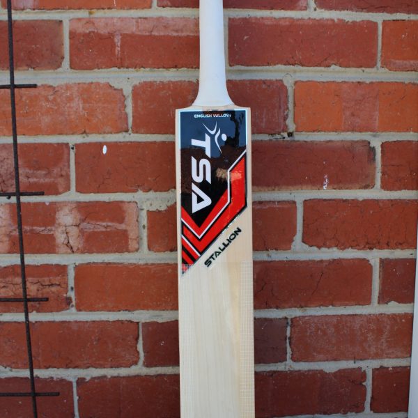 TSA Stallion – Grade 1 English Willow Cricket Bat