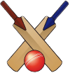 Design your own custom bat